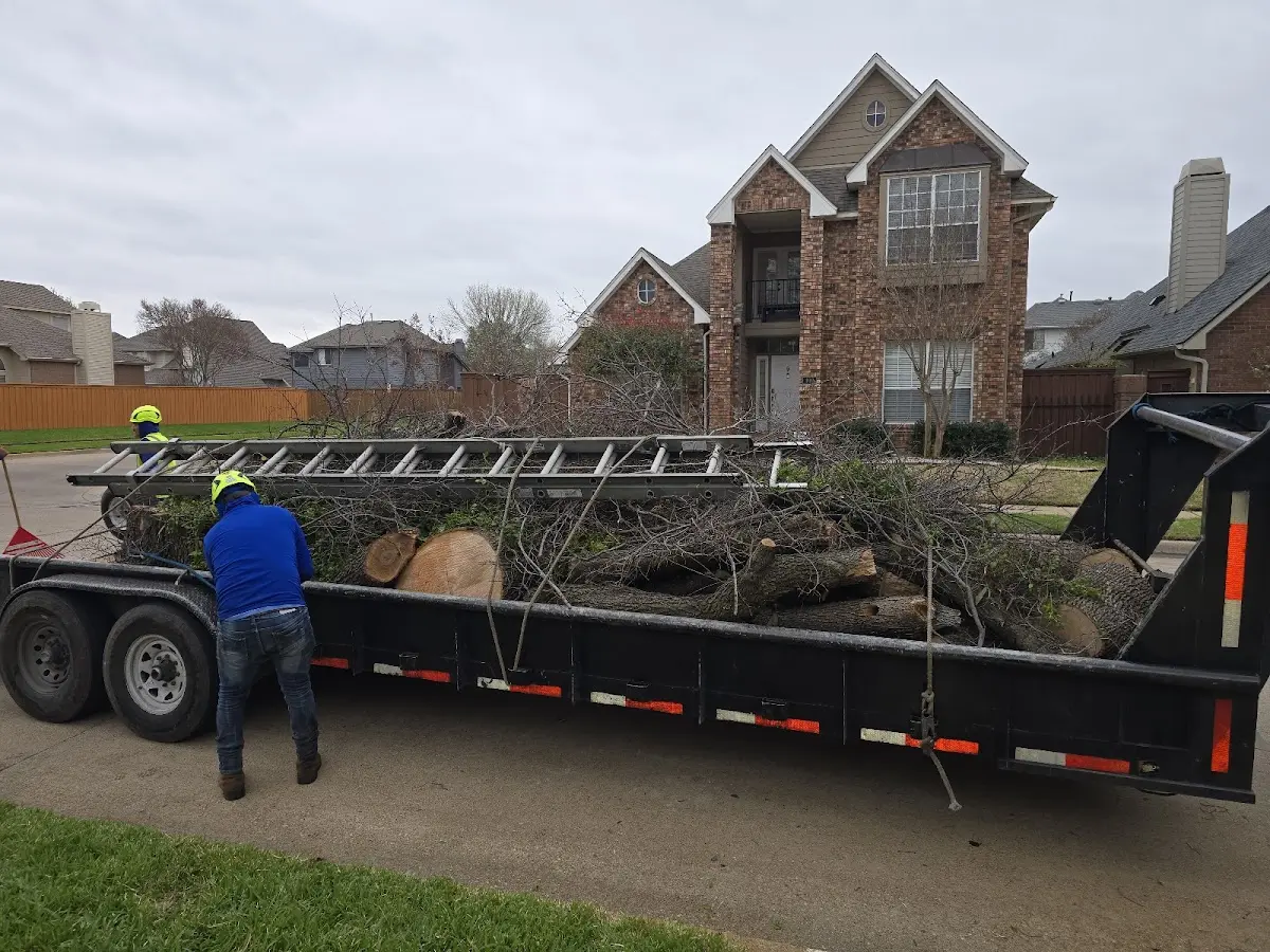Expert Tree Fertilization with proper safety equipment in Rio Grande City